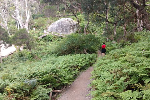 Wilsons Promontory Brainstorming Escape - Mackay Tourism 2