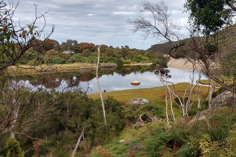 Wilsons Promontory Brainstorming Escape - Mackay Tourism 9