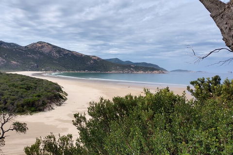Wilsons Promontory Brainstorming Escape - Mackay Tourism 1