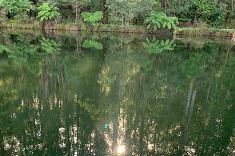 Hiking Tour To Aqueduct And Warburton Valley Lookout - Mackay Tourism 2