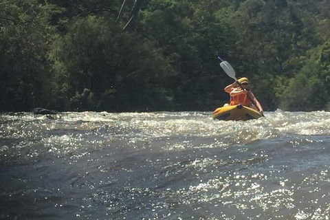 Yarra River Half-Day Rafting Experience - Mackay Tourism 5