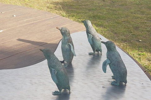 Phillip Island Penguin And Wildlife Tour - Mackay Tourism 14
