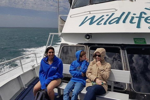 Phillip Island Penguin And Wildlife Tour - Mackay Tourism 15