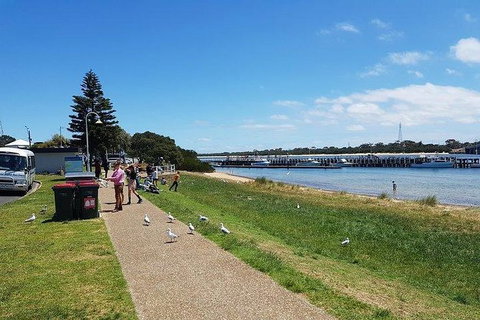 Phillip Island Penguin And Wildlife Tour - Mackay Tourism 25