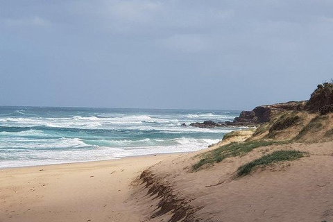 Phillip Island Penguin And Wildlife Tour - Mackay Tourism 10