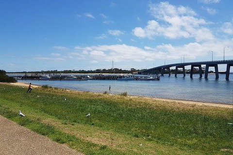 Phillip Island Penguin And Wildlife Tour - Mackay Tourism 24