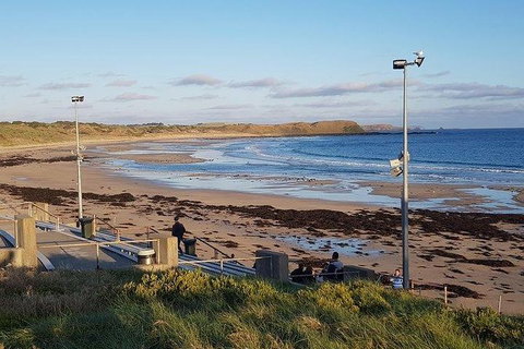 Phillip Island Penguin And Wildlife Tour - Mackay Tourism 8