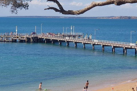 Phillip Island Penguin And Wildlife Tour - Mackay Tourism 2