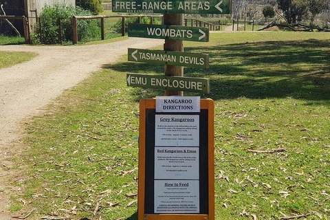 Phillip Island Penguin And Wildlife Tour - Mackay Tourism 4