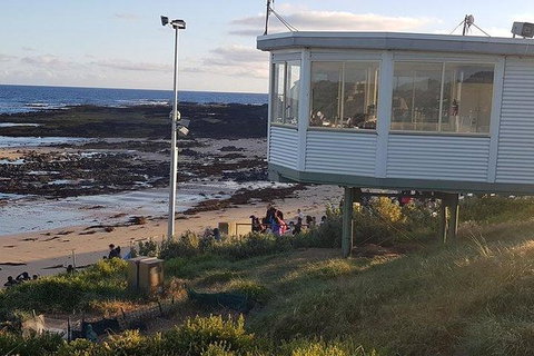Phillip Island Penguin And Wildlife Tour - Mackay Tourism 33