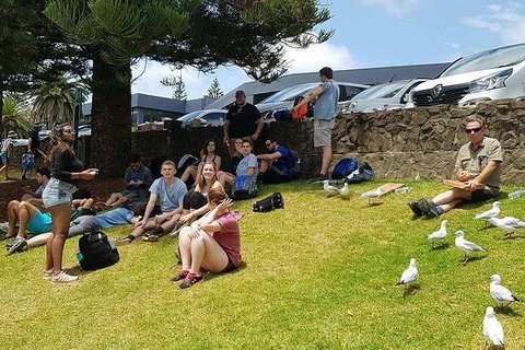 Phillip Island Penguin And Wildlife Tour - Mackay Tourism 22