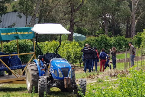 Day Tour Of Yarra Valley Puffing Billy And Rayners Orchard - Mackay Tourism 10