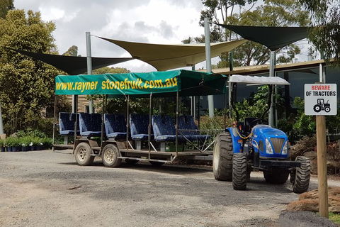 Day Tour Of Yarra Valley Puffing Billy And Rayners Orchard - Mackay Tourism 17