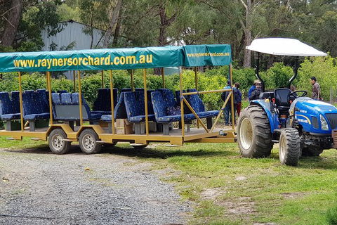 Day Tour Of Yarra Valley Puffing Billy And Rayners Orchard - Mackay Tourism 48