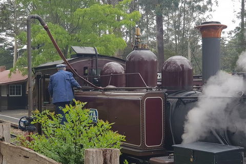 Day Tour Of Yarra Valley Puffing Billy And Rayners Orchard - Mackay Tourism 5