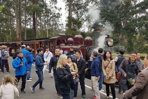Day Tour Of Yarra Valley Puffing Billy And Rayners Orchard - Mackay Tourism 18