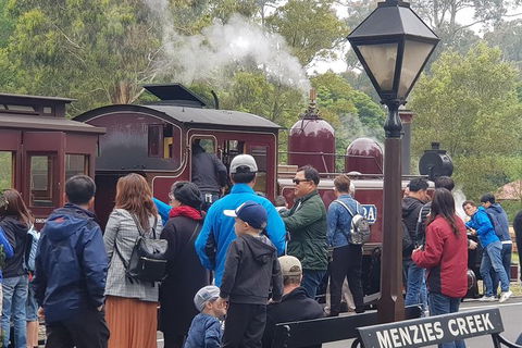 Day Tour Of Yarra Valley Puffing Billy And Rayners Orchard - Mackay Tourism 40