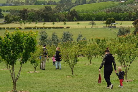 Day Tour Of Yarra Valley Puffing Billy And Rayners Orchard - Mackay Tourism 36