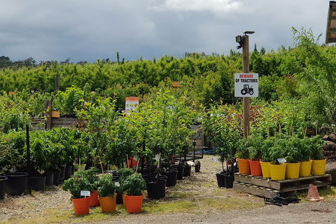 Day Tour Of Yarra Valley Puffing Billy And Rayners Orchard - Mackay Tourism 46