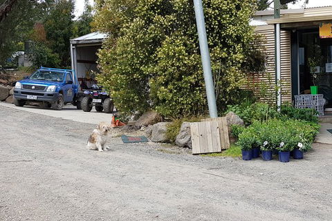 Day Tour Of Yarra Valley Puffing Billy And Rayners Orchard - Mackay Tourism 6
