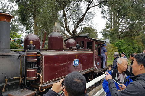 Day Tour Of Yarra Valley Puffing Billy And Rayners Orchard - Mackay Tourism 28