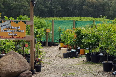 Day Tour Of Yarra Valley Puffing Billy And Rayners Orchard - Mackay Tourism 22