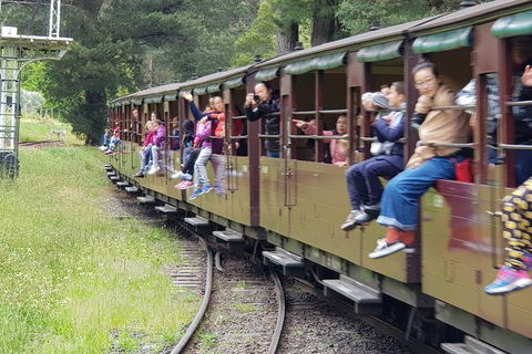 Day Tour Of Yarra Valley Puffing Billy And Rayners Orchard - Mackay Tourism 13