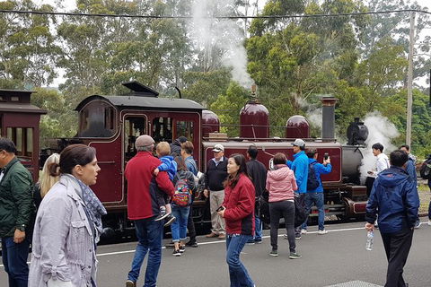 Day Tour Of Yarra Valley Puffing Billy And Rayners Orchard - Mackay Tourism 4