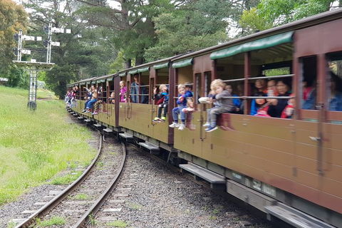 Day Tour Of Yarra Valley Puffing Billy And Rayners Orchard - Mackay Tourism 24