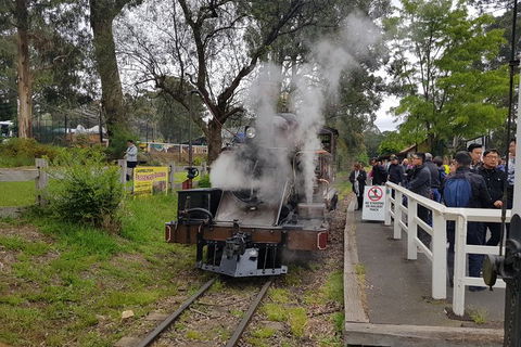 Day Tour Of Yarra Valley Puffing Billy And Rayners Orchard - Mackay Tourism 43