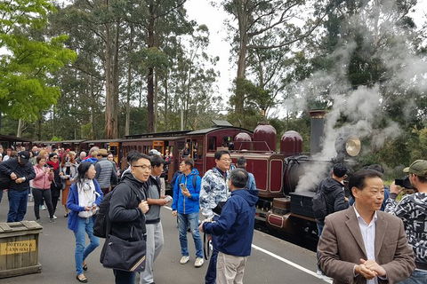 Day Tour Of Yarra Valley Puffing Billy And Rayners Orchard - Mackay Tourism 12