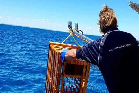 Rottnest Island Wild Seafood Package With Round Trip Ferry From Perth - Mackay Tourism 8