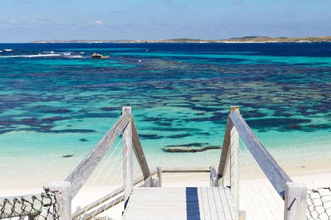 Rottnest Island Wild Seafood Package With Round Trip Ferry From Perth - Mackay Tourism 2