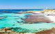Rottnest Island Wild Seafood Package With Round Trip Ferry From Perth - thumb 7