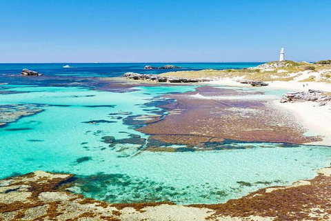 Rottnest Island Wild Seafood Package With Round Trip Ferry From Perth - Mackay Tourism 7