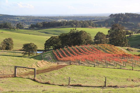 Ferguson Valley Full Day Tour - Mackay Tourism 0
