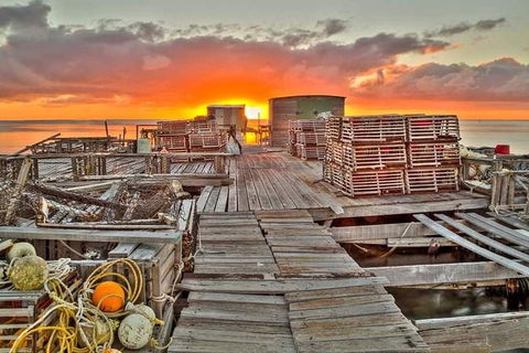 Abrolhos Islands 3 Day Fishing Charter - Mackay Tourism 5