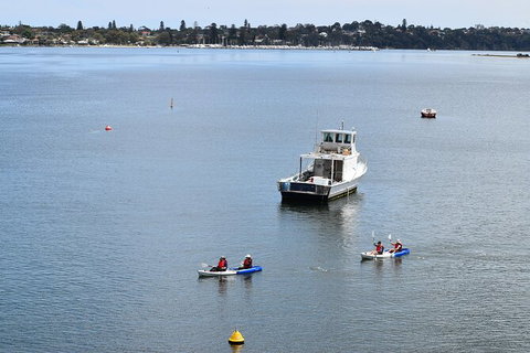 Cliffs And Caves Kayak Tour In Swan River - Mackay Tourism 5