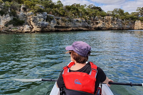 Cliffs And Caves Kayak Tour In Swan River - Mackay Tourism 1