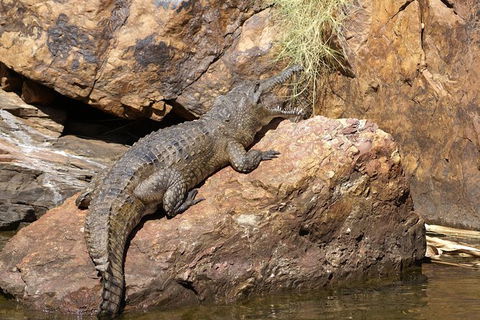 Ord River Experience With Riverside Lunch - Mackay Tourism 2