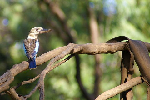 Ord River Experience With Riverside Lunch - Mackay Tourism 1