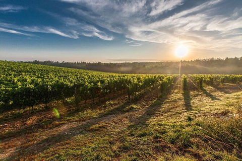 Perth To Margaret River Wine Tour - 2 Day Premium Boutique Wine Tour Experience - Mackay Tourism 0