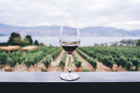 Full-Day Gourmet Wine Tour With Pick Up And Lunch - Mackay Tourism 1