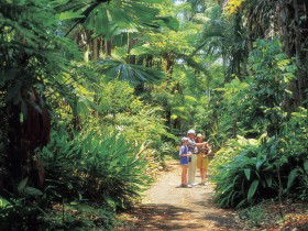 Sir Thomas Brisbane Planetarium - Mackay Tourism 0