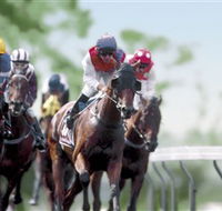 Colac Turf Club - Mackay Tourism