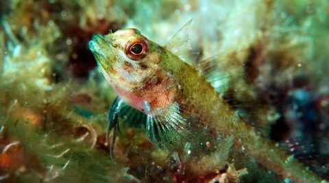 Busselton Jetty & Underwater Observatory Tour - Mackay Tourism 7