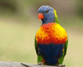 Booderee National Park - Mackay Tourism 1