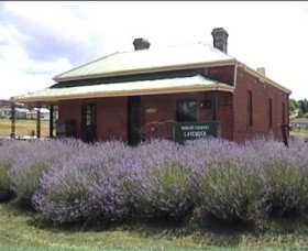 Lavender House In Railway Park - Mackay Tourism 0