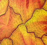 Red Desert Dreamings - Mackay Tourism