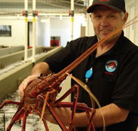 Lobster Shack - Mackay Tourism